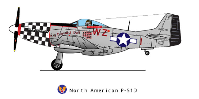 p-51 J Landers